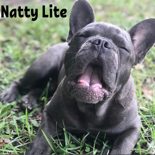 NATTY LITE