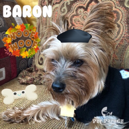 Baron 