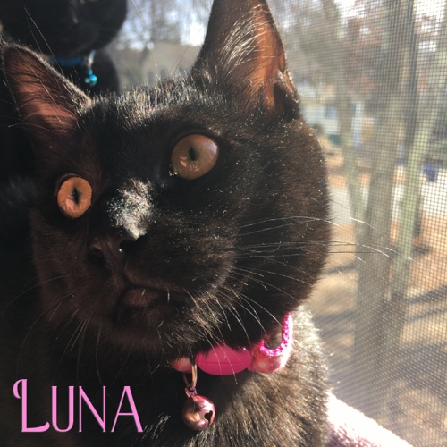 Luna