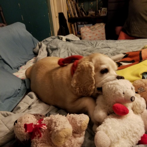 Rockne  RIP 10-16-21