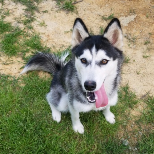 Everest Aurora Romines