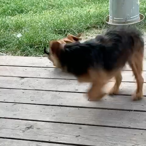 Abby,Mia,lily (tysm????