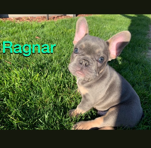 Ragnar
