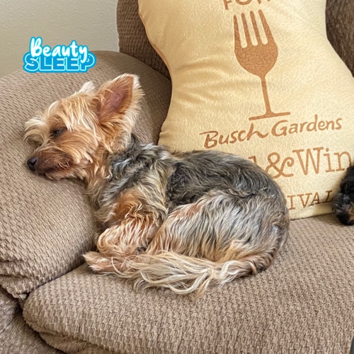 Cocoa Bailey and Lexi