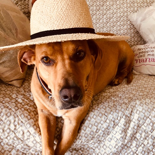 I have two-Sally and Belle