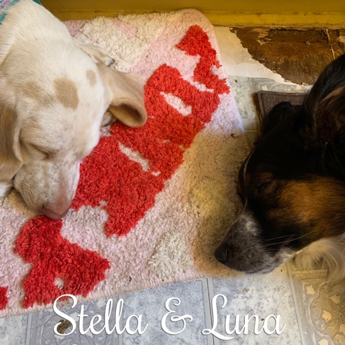 Stella & Luna