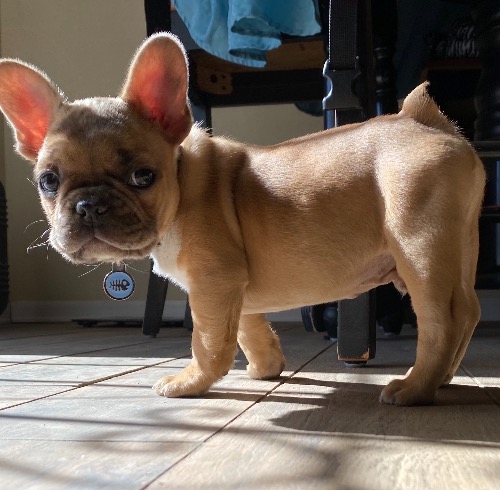 I have 2 can I enter them both?