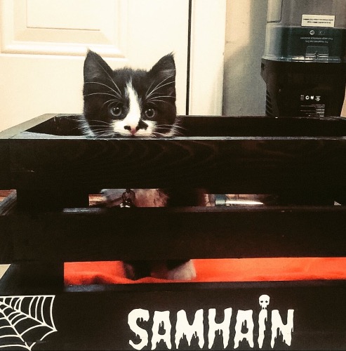 Samhain