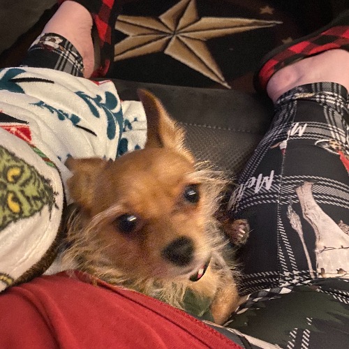 Bruno Sophie Memphis jack