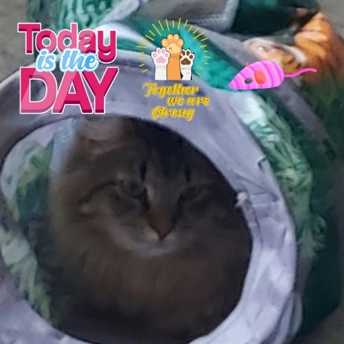 Mowgli Spider-Man Moore