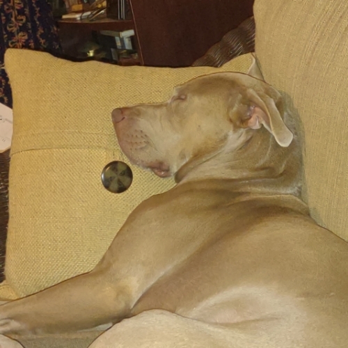 Beauregard Chevrolet