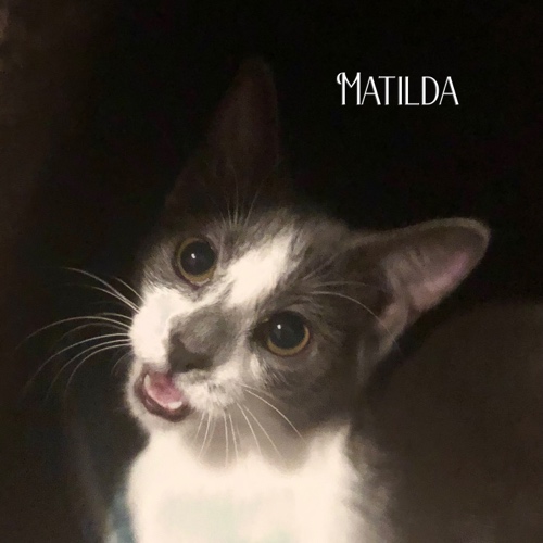 Matilda