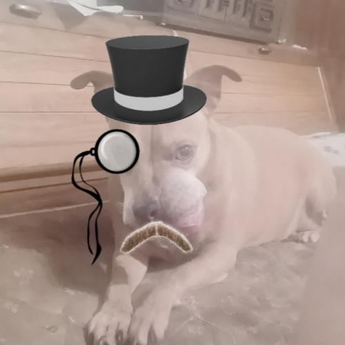 Sunshine aka little baby sunshine