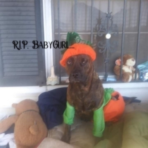 Baby Gurl