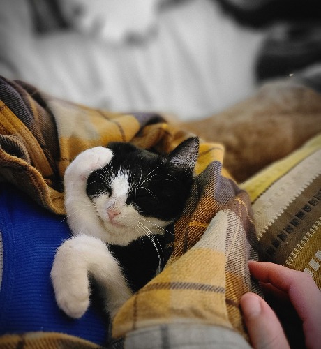 Dave aka Davey Jones