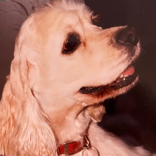 My Lady Bageeras Mom