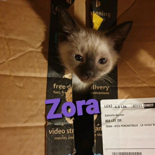 Zora