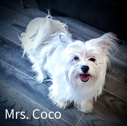 Coco Chanel
