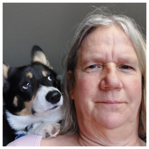 Pembroke Welsh Corgi Mix