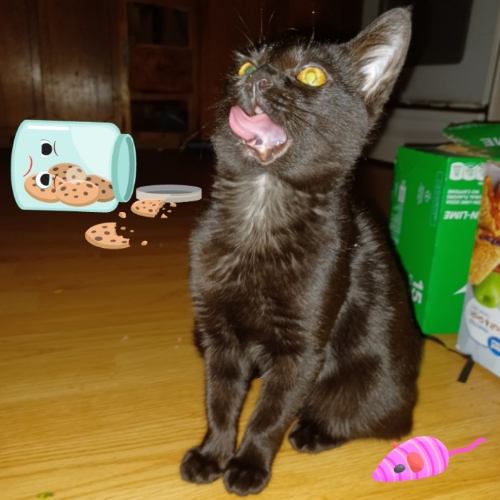 Queen Halloween aka Hallie