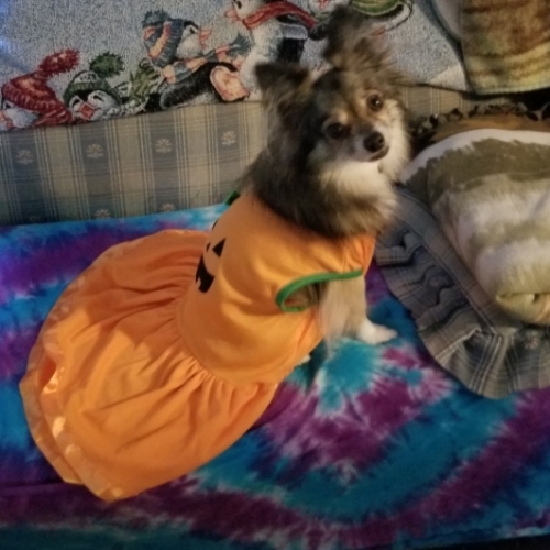 Lolita Bonita aka Lola