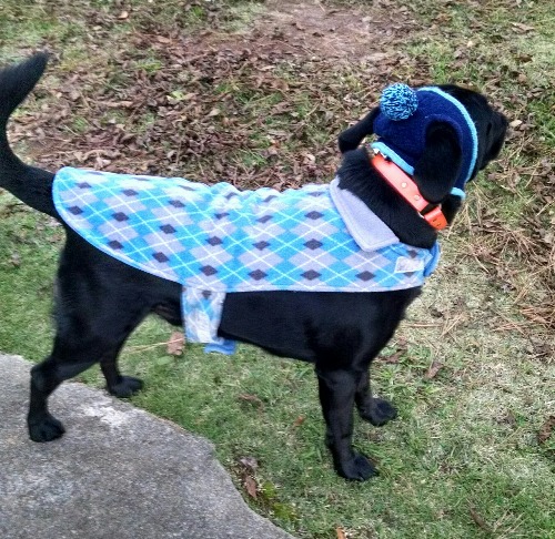 Milton George Parker