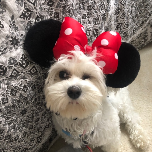 Minnie