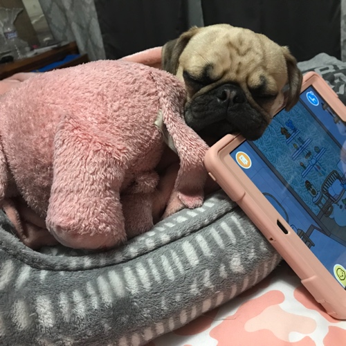 Melvin Pierre Pugsley Perez