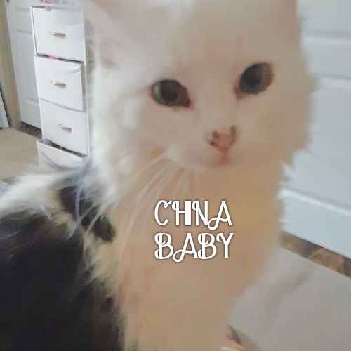 China Baby