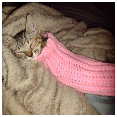 Mary Fate Necole Hobbs we call her Fate