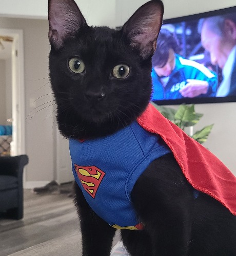 Superman
