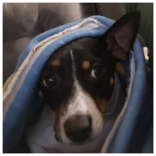 Roxanne Angelic Davis