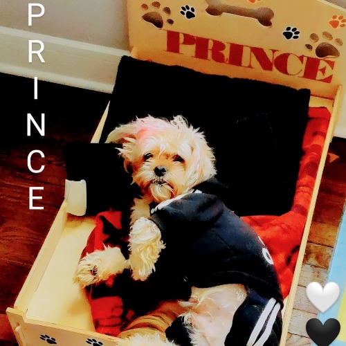 Prince