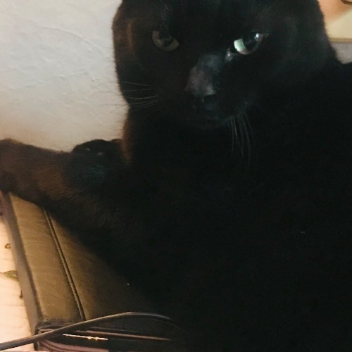 Sir John Middleton but we call him Jack for short