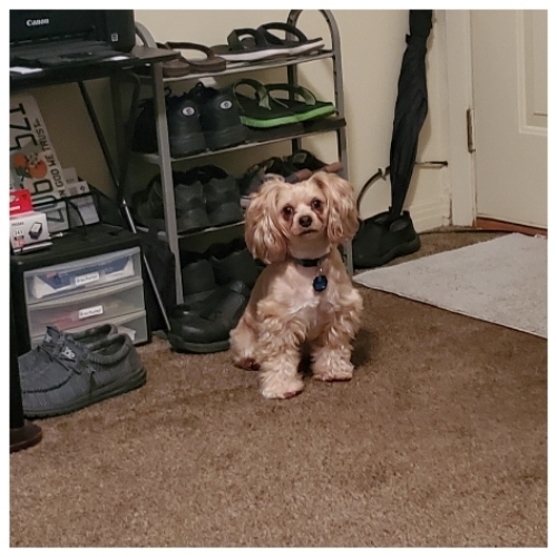 Jason Aldean Garrett