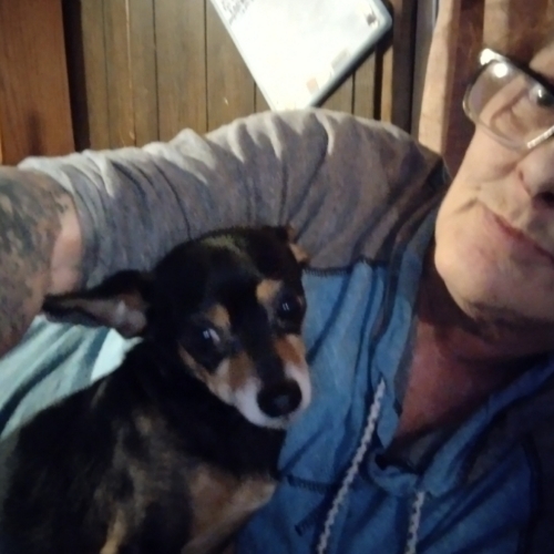 Teacup Miniature Pinscher Mix