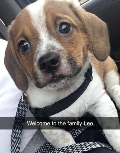 Leo