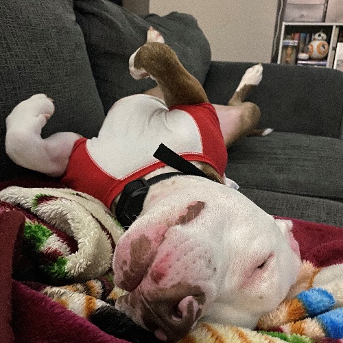 Luke Skywalker Enriquez