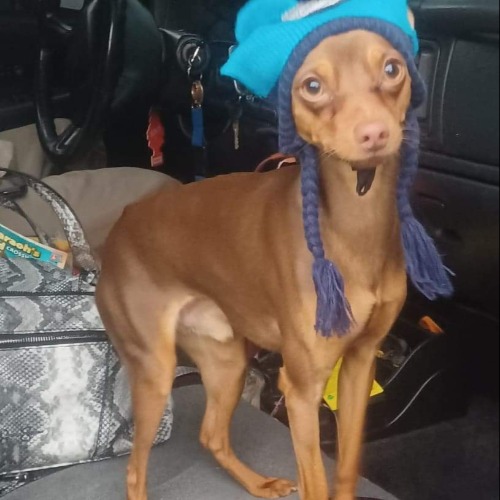 Baby boy aka booey aka Dewey aka many more