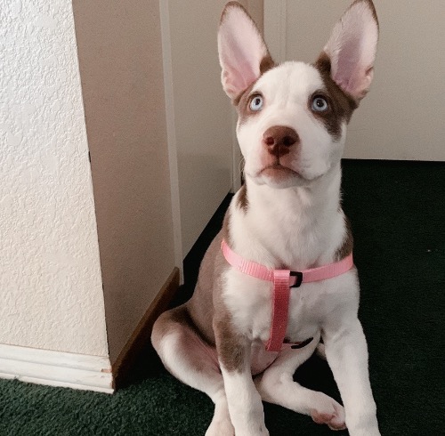 Dakota but we call her kody