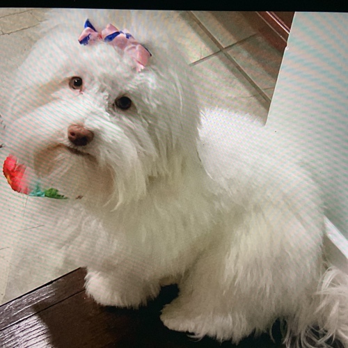 I answered the questions